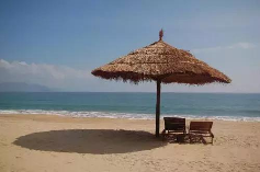 夏天夏天悄悄过去留下了“神器”